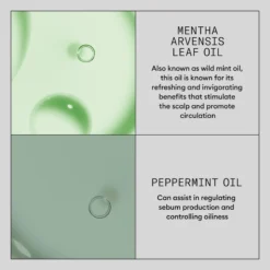 Nioxin Density Defend Hair Booster Serum 100 Ml -Nice Hair Butik nioxin density defend hair booster serum 100 ml 1726210793